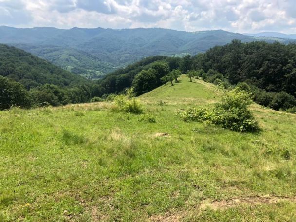  / © facebook.com/nataliya.borodchuk