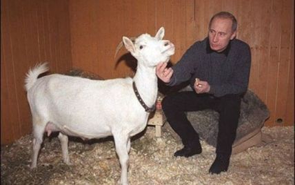 "Сказочная" коза и лошадка Вадик. Самые странные подарки Путину