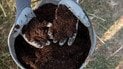 Что добавить в компост для быстрого перегнивания