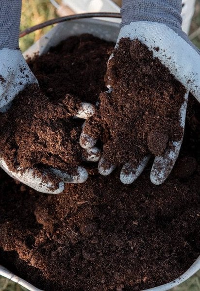 Що додати в компост для швидкого перегнивання