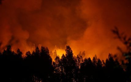 У Канаді спалахнула лісова пожежа