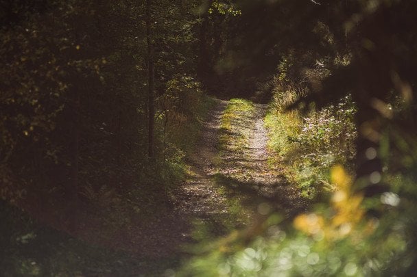 Народні прикмети 14 вересня / © unsplash.com