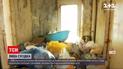Новости Украины: киевлянка терроризирует соседей вонью, тараканами и нечистотами, что выливает из окна