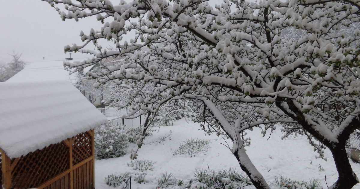 Карпаты засыпает снегом