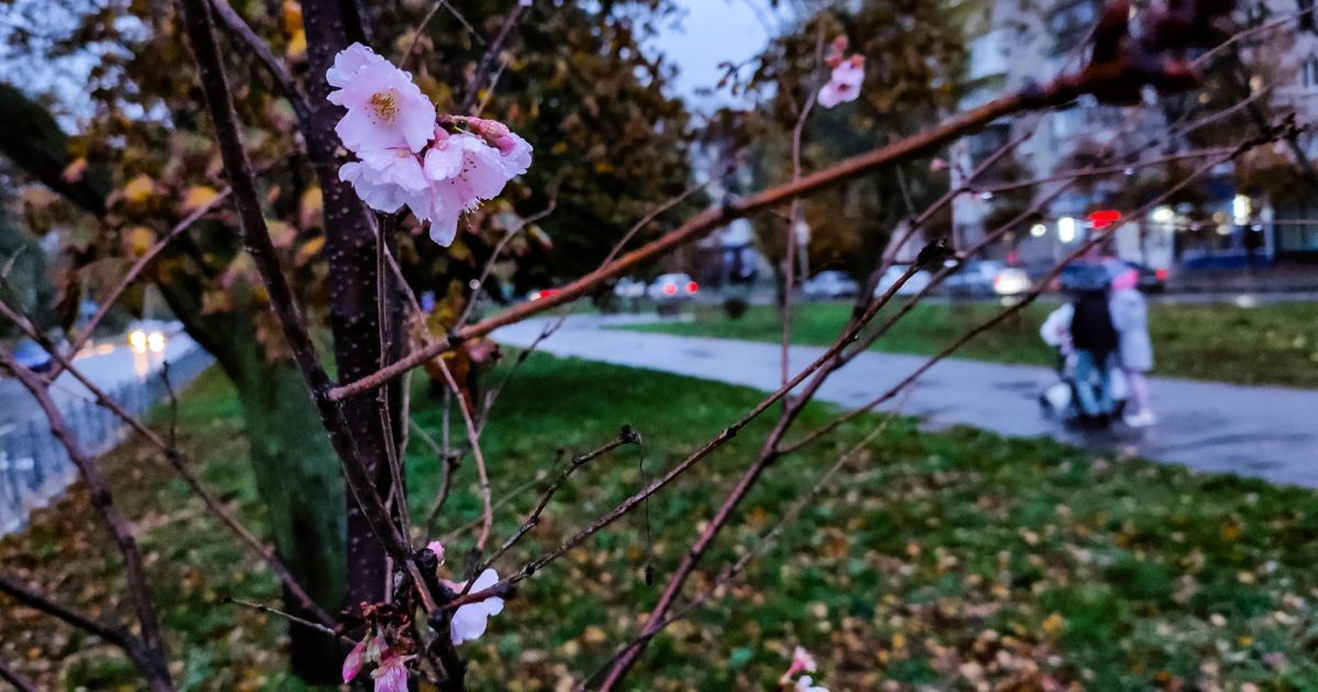 Фото: Nick Tymchenko/facebook.com