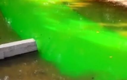 У Києві "мокрі" вандали зафарбували в яскраво-зелений колір не лише фонтани, а й річку Либідь