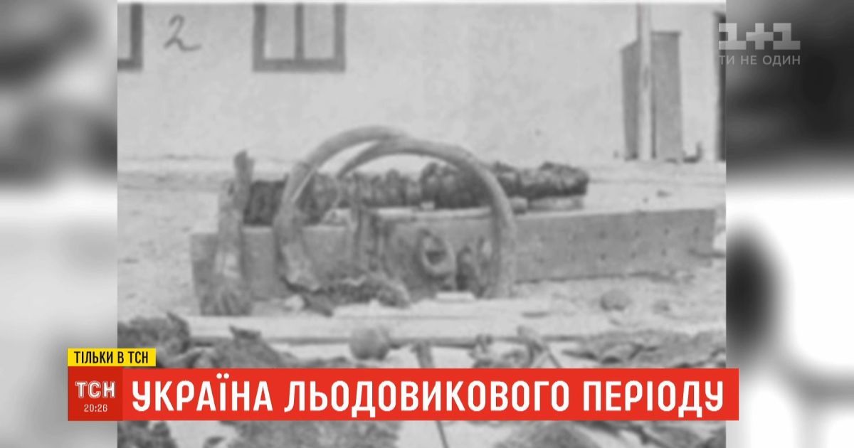 Україна льодовикового періоду: як рештки давніх тварин опинились у ґрунтах прикарпаття