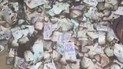 Воры похитили наличные деньги в аэропорту