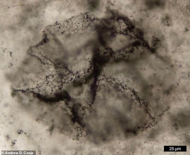 Метод також виявив ознаки фотосинтезу у породах віком 2,52 млрд років