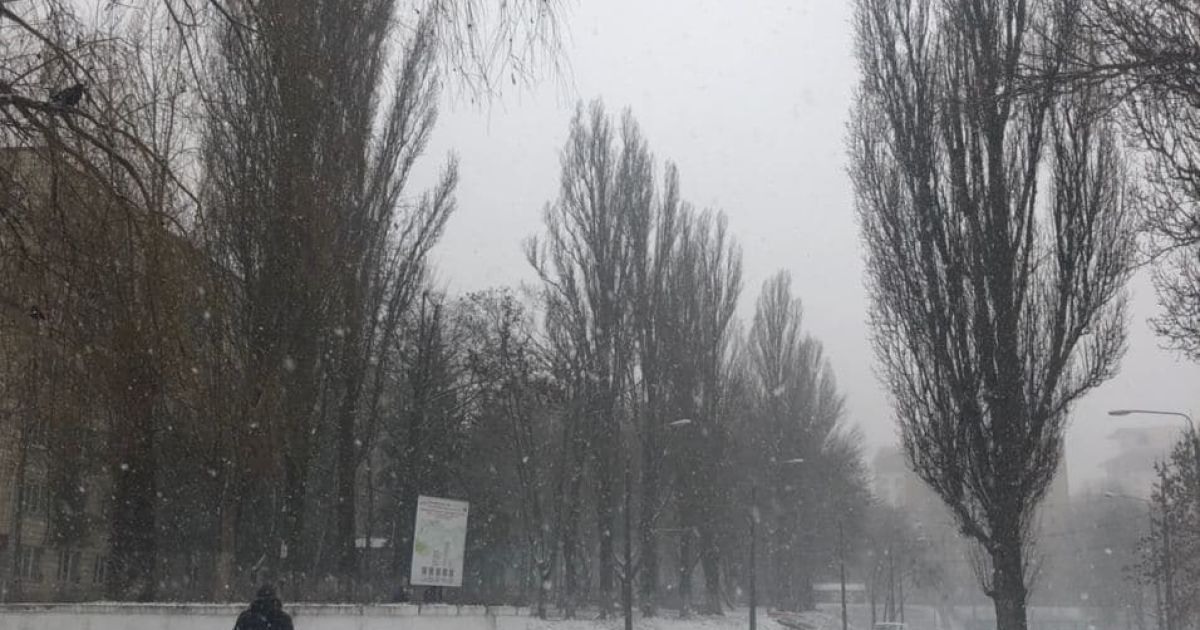 Голосеевский район / © ТСН.ua