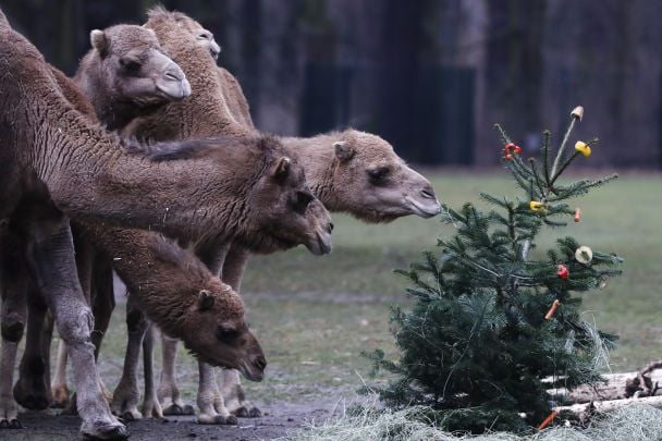  / © Associated Press