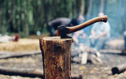 Конфликт между фермерами и лесорубами: почему воры древесины в Днепропетровской области остаются безнаказанными