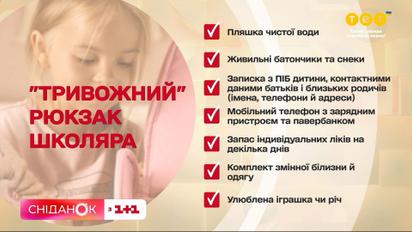 Каким будет новый учебный год в условиях военного положения?