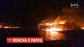 Невідомі підпалили суху траву у парку Чернівців