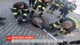В Германии бригада пожарных и зоолог спасли толстую крысу