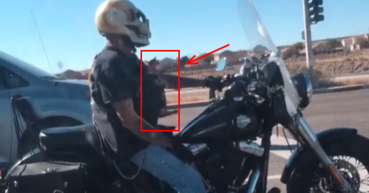 Милий пес-компаньйон зловісного байкера розчулив Мережу. Відео