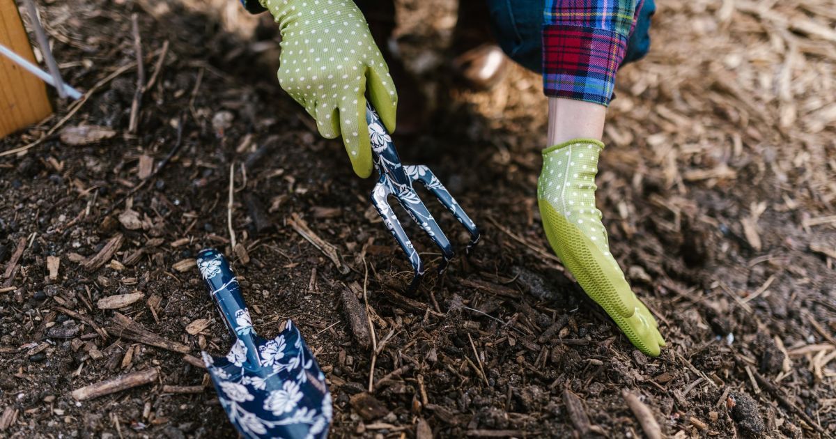 Lunar Sowing Calendar for May 2023: What and When to Plant in Your Garden and Vegetable Garden