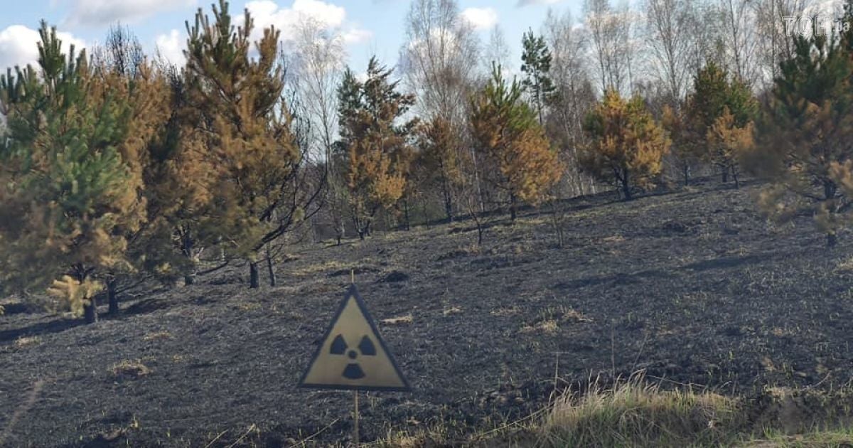 У Чорнобильській зоні триває ліквідація осередків тління