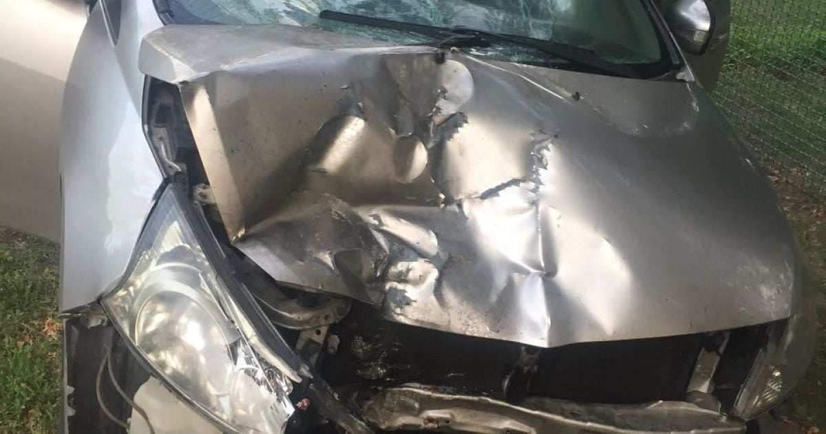 Совершил смертельное ДТП и 3 года скрывался от правосудия: в Харьковской области задержали мужчину, который находился в розыске