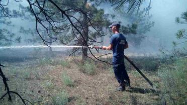 лісова пожежа на Херсонщині_3 / © Управление ГСЧС в Херсонской области