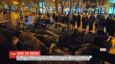После наезда кареты на девочку во Львове активисты требуют прекратить конные прогулки по городу
