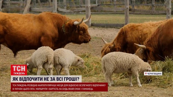  / © ТСН