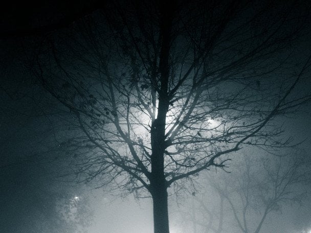 Народні прикмети 28 грудня / © pexels.com