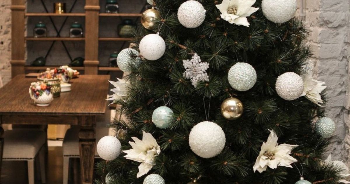 Семья установила рождественскую елку, в которой сидела полутораметровая ядовитая змея (видео)