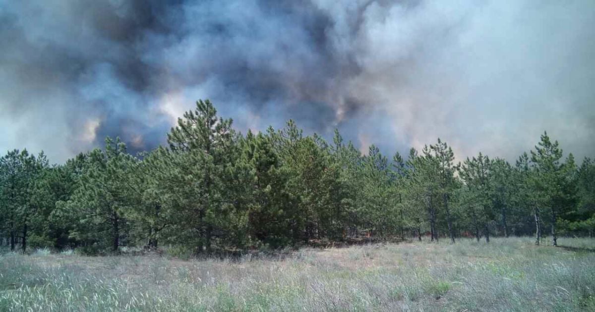 В Україні оголошено найвищий рівень пожежної небезпеки