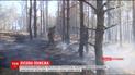 Понад три сотні рятувальників долучилися до гасіння масштабної пожежі на Херсонщині