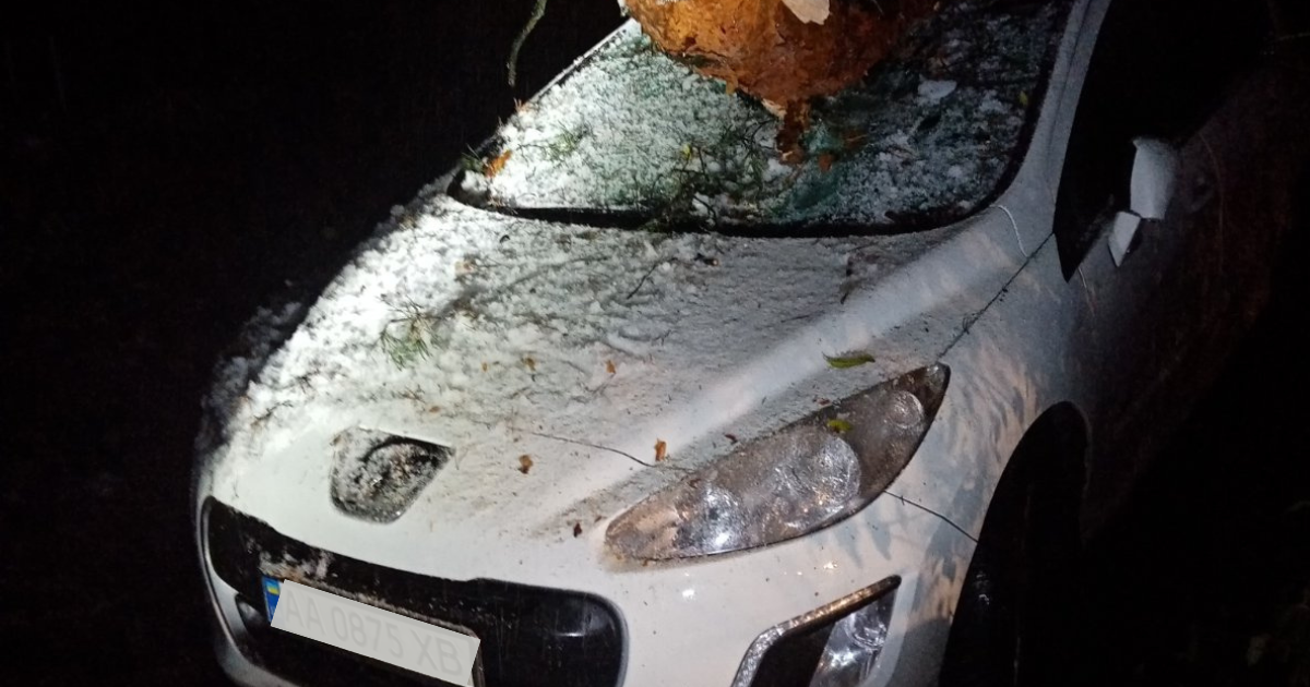 У Києві через негоду зламано 120 дерев: деякі з них впали на автівки, трамвайні колії та ЛЕП