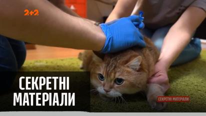 Путин рекламирует новую российскую вакцину для животных: на что она способна — "Секретные материалы"
