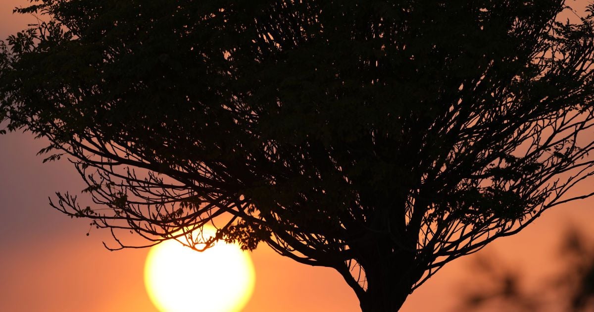 Сонце увійшло у пікову фазу активності