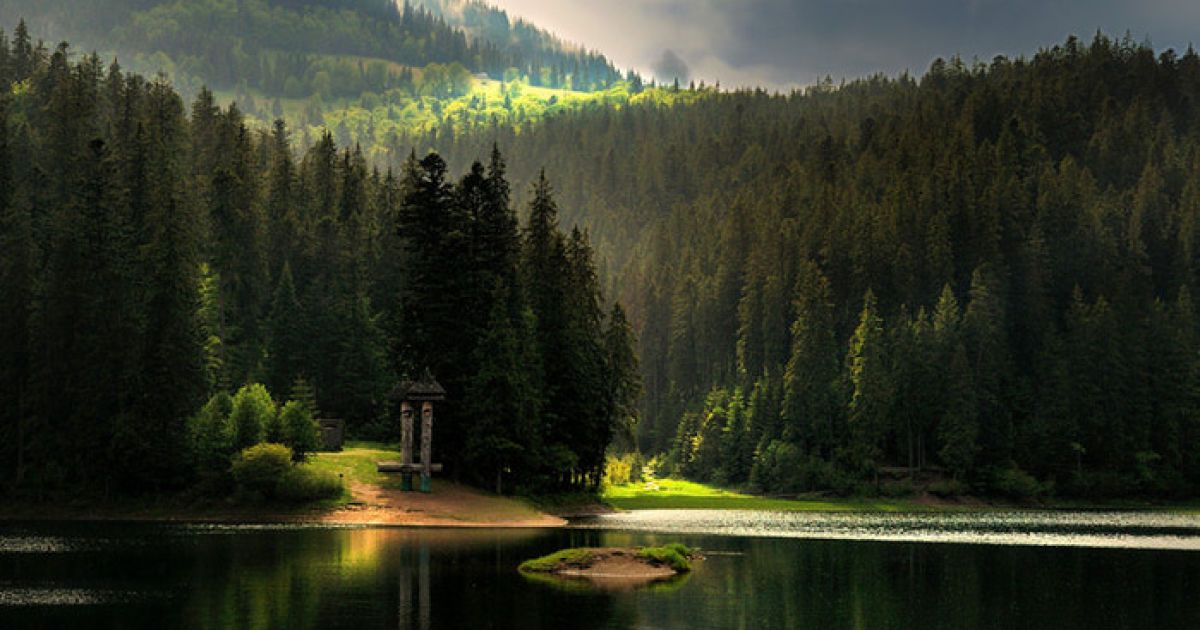 Віртуальний тур на Говерлу. Яндекс опублікував інтерактивні мапи Карпат