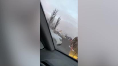 На Киевщине сотрудник ТЦК на блокпосту разбил лобовое стекло в авто уклониста