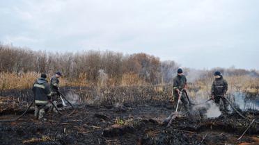 торфовища Чернігівщина_5 / © Управление ДСНС в Черниговской области