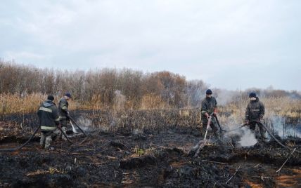 На Київщині палають торфовища, столицю огортає токсичний дим