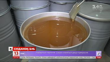 На Черкащині відкриють українсько-австрійський завод з виробництва меду