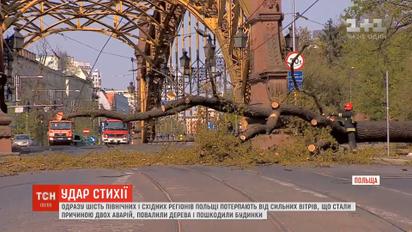 Повалені дерева і зірвані дахи: Польща потерпає від потужної негоди