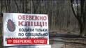 Лікарі розповіли, як вберегтись від кліщів