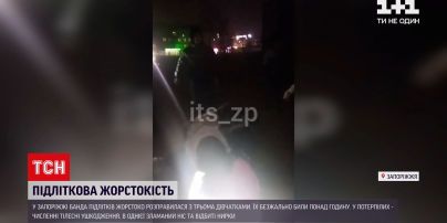 Новости Запорожья: банда подростков устроила расправу над тремя школьницами