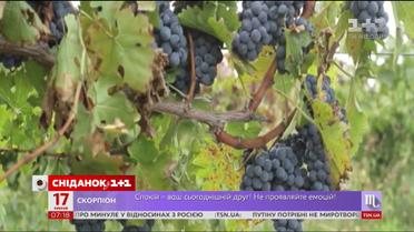 Сезон винограду та 20 гривень нового зразка - економічні новини