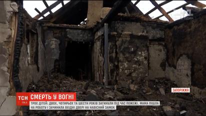 Трое детей погибли при пожаре в частном доме в Запорожской области