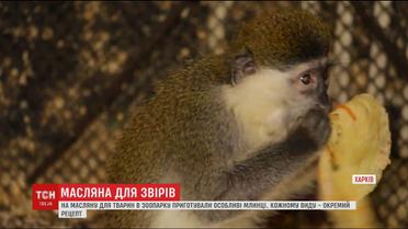 Працівники Харківського зоопарку влаштували Масляну для звірів