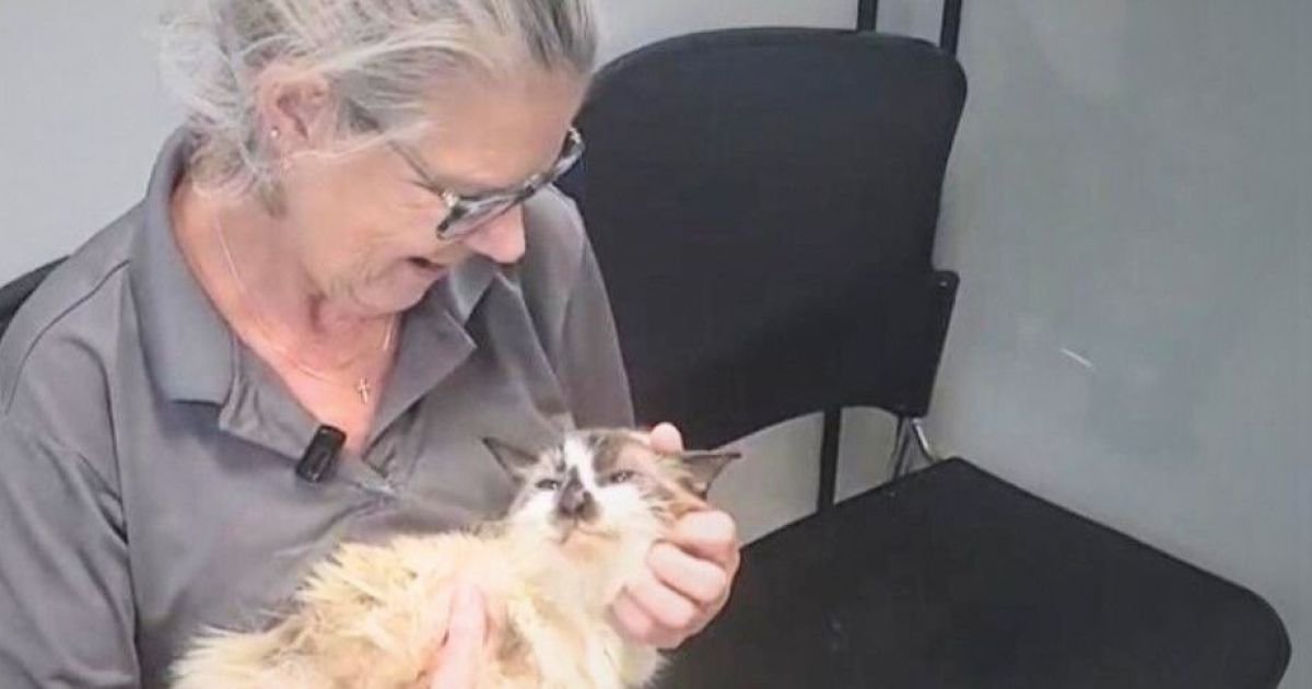 Дженнифер Равенел и Сэм / Фото: Charleston Animal Society