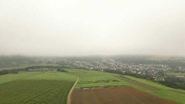 22 июня утром туман хорошо уродит овес / © unsplash.com