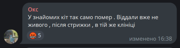 Скриншот