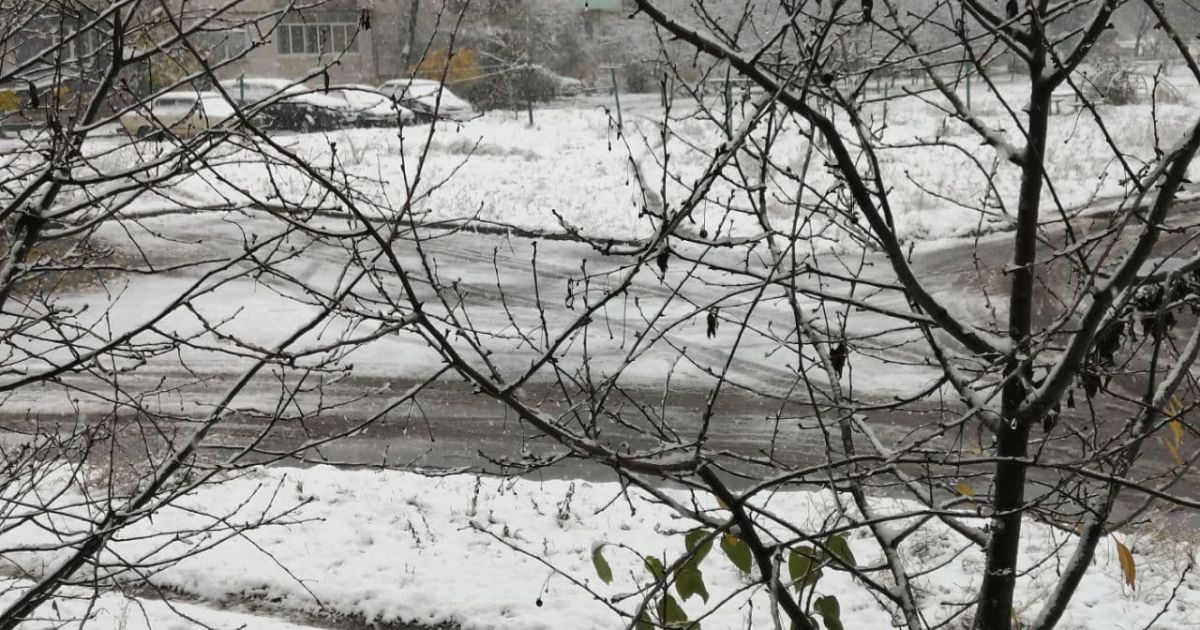 Сніг у Шостці / © ТСН.ua