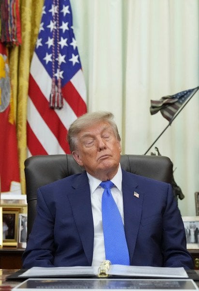 Джейми Франклин, Дональд Трамп и Роберт Ф. Кеннеди-младший