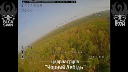 ВСУ показали поединок украинского FPV-дрона и вражеского "Мавика"